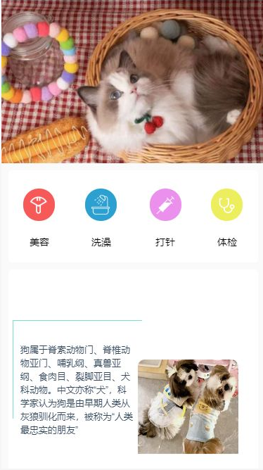 宠物之家_1